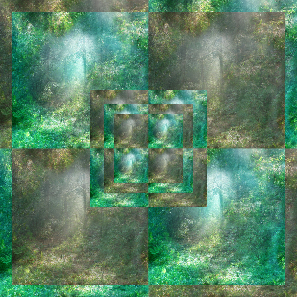 FOREST VORTEX: magnetic resonances from passage through cover art